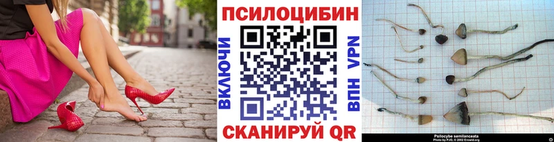 Галлюциногенные грибы MAGIC MUSHROOMS  Грязовец 